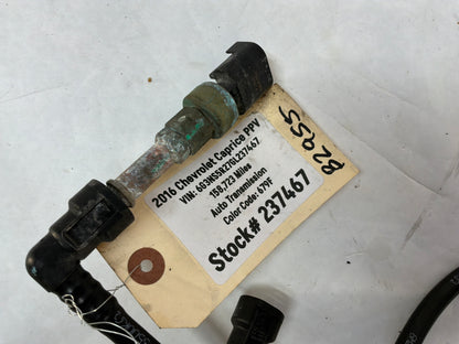 2016 Chevy Caprice PPV EVAP Fuel Gas Line Hose Tube Pipe OEM
