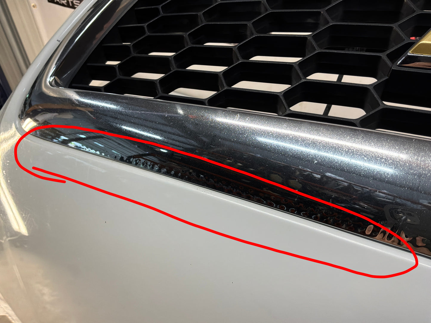 2016 Chevy Caprice PPV Complete Hood Assembly OEM