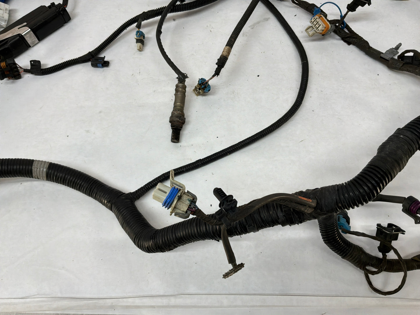 2004 Pontiac GTO Engine Motor Manual Transmission Wire Wiring Harness OEM
