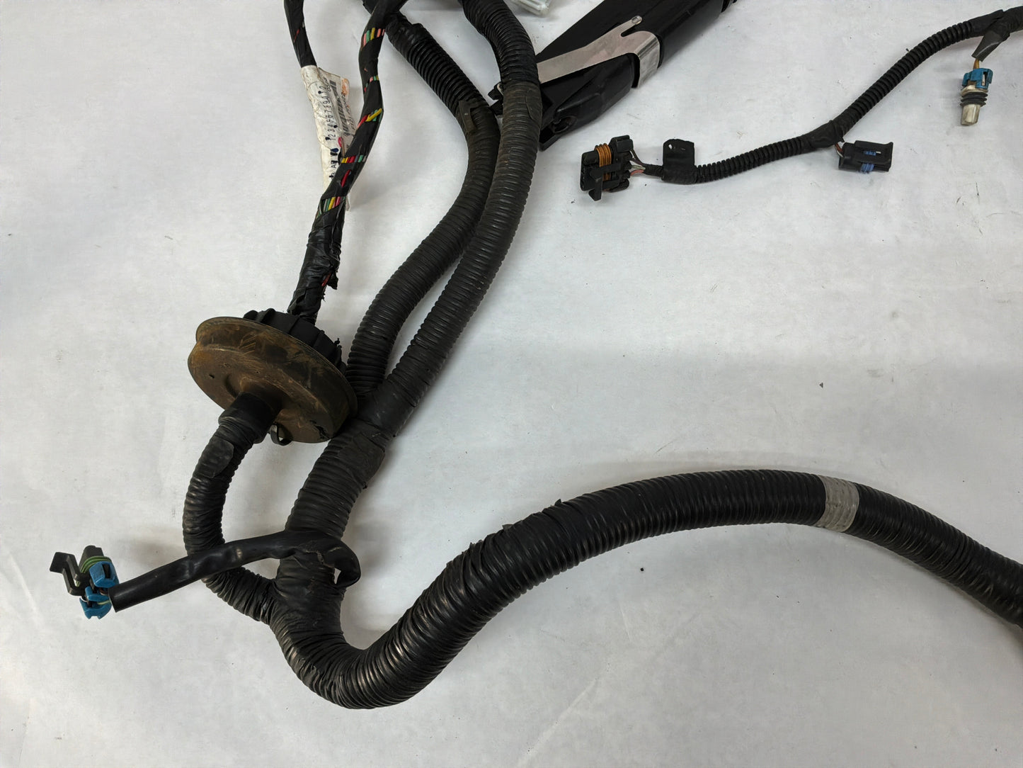 2004 Pontiac GTO Engine Motor Manual Transmission Wire Wiring Harness OEM