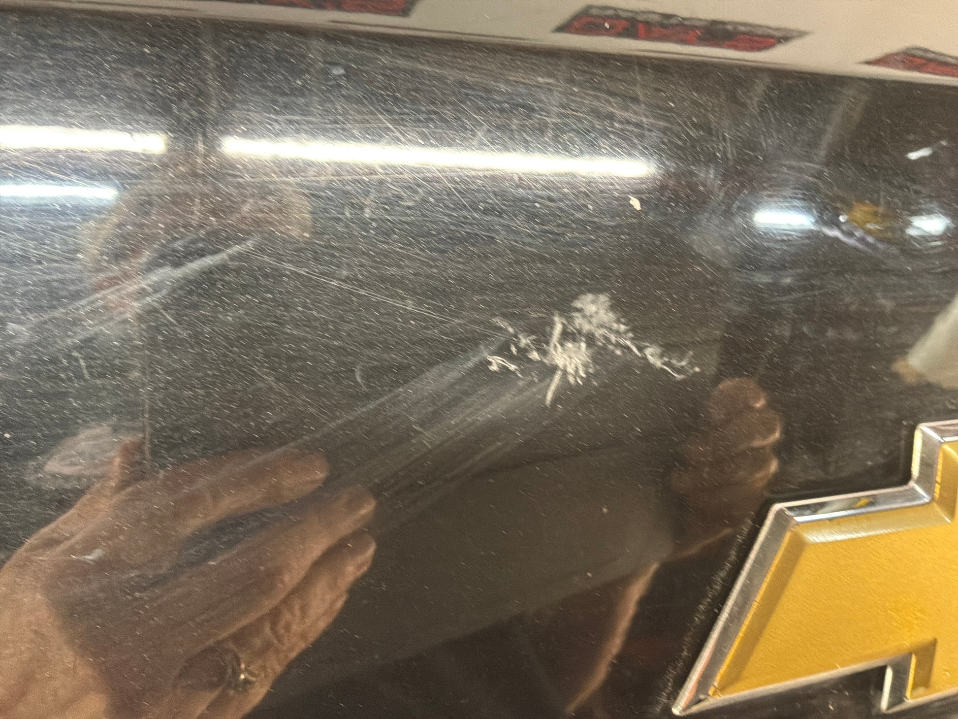 Trunk deck lid - Day's Parts Yard