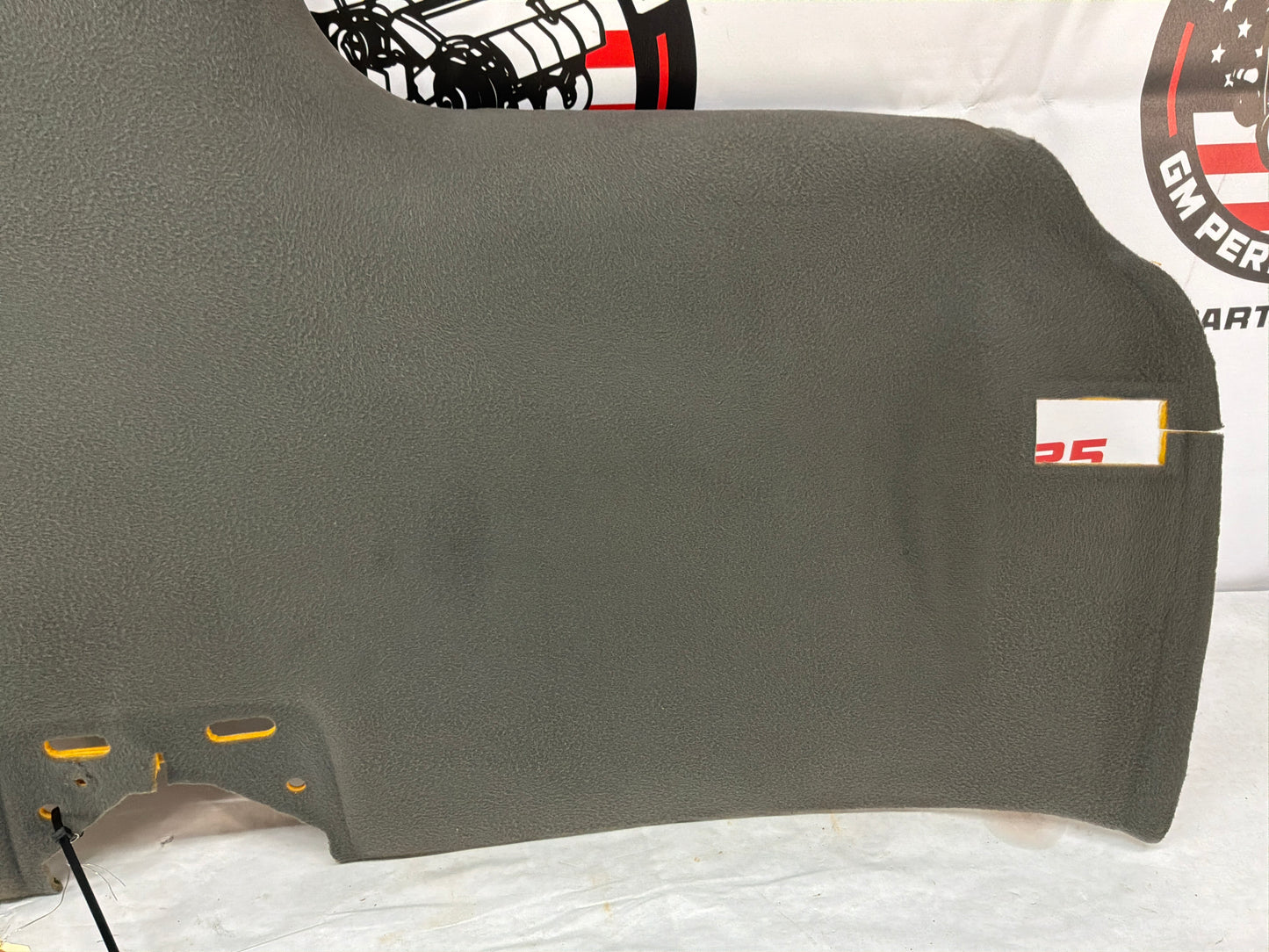 1999 Pontiac Trans Am WS6  Ebony Black T-Top Head Liner Headliner OEM