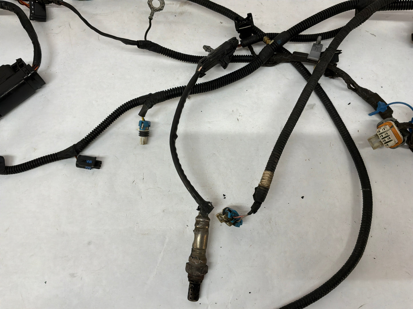 2004 Pontiac GTO Engine Motor Manual Transmission Wire Wiring Harness OEM