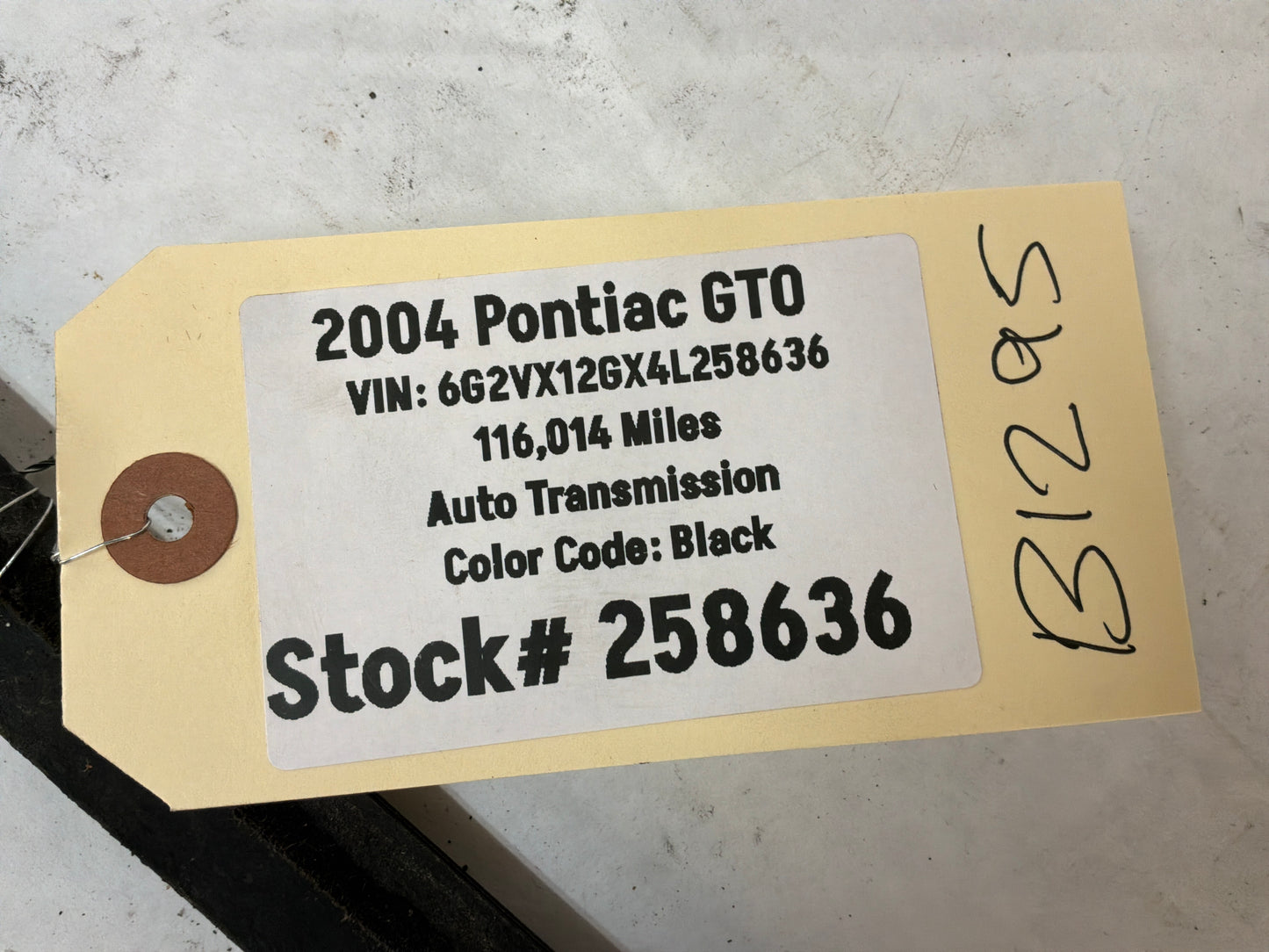 2004 Pontiac GTO LH Driver Window Door Belt Molding Weather Strip Trim OEM