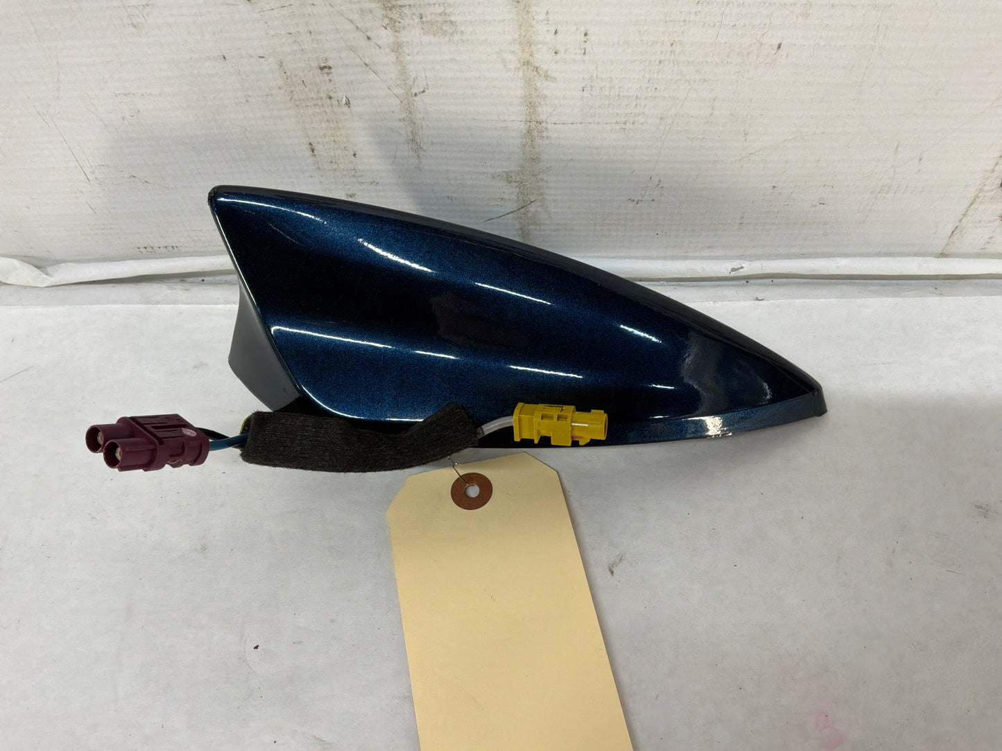 Shark - Day's Parts Yard