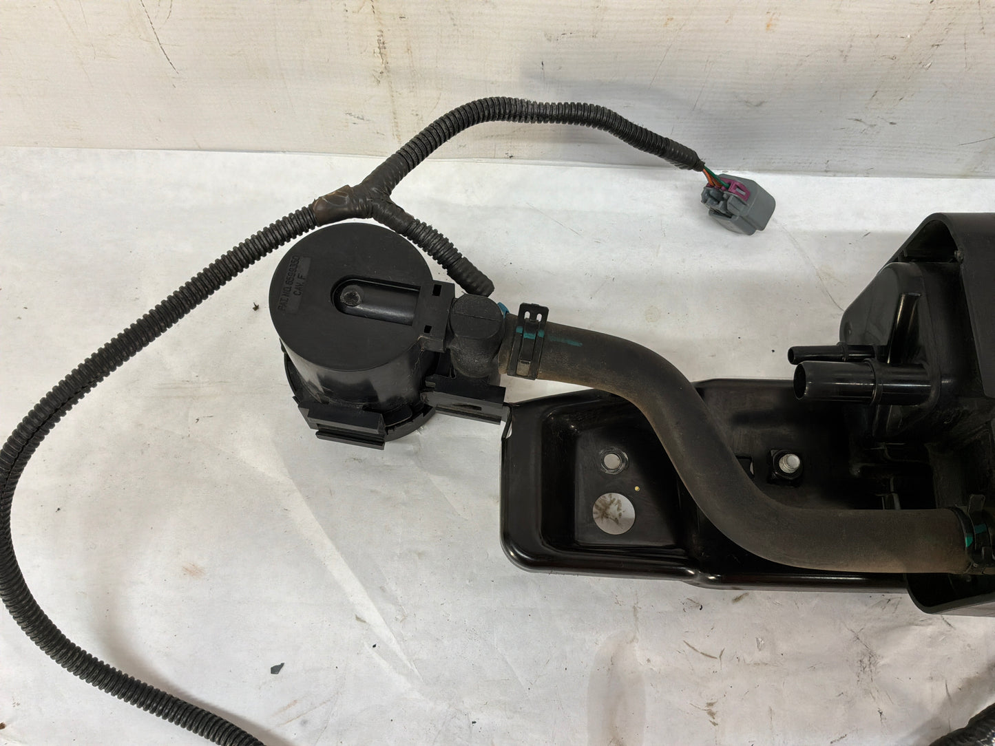 2008 Pontiac G8 GT EVAP Charcoal Canister Fuel Tank Wire Wiring Harness OEM