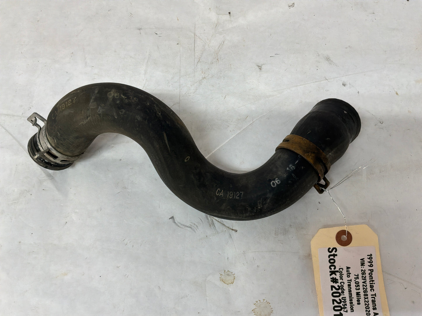 1999 Pontiac Trans Am WS6 Lower Radiator Coolant Hose OEM