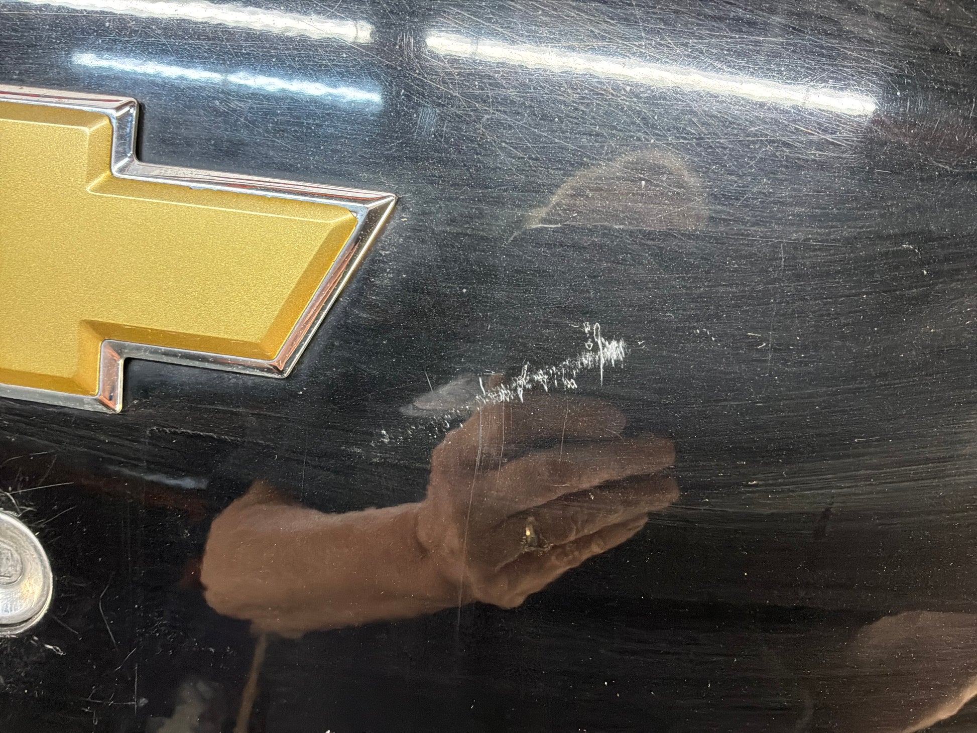 Trunk deck lid - Day's Parts Yard