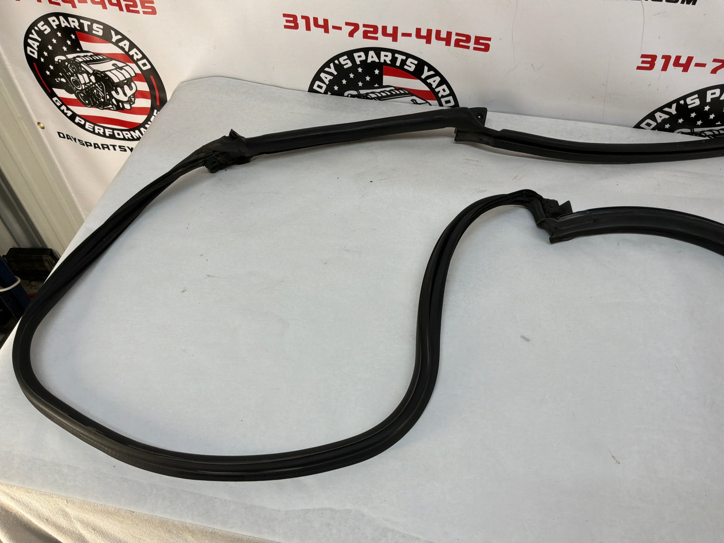 1999 Pontiac Firebird Trans Am Formula WS6 LH Driver Door T-Top Weather Strip Rubber Seal OEM