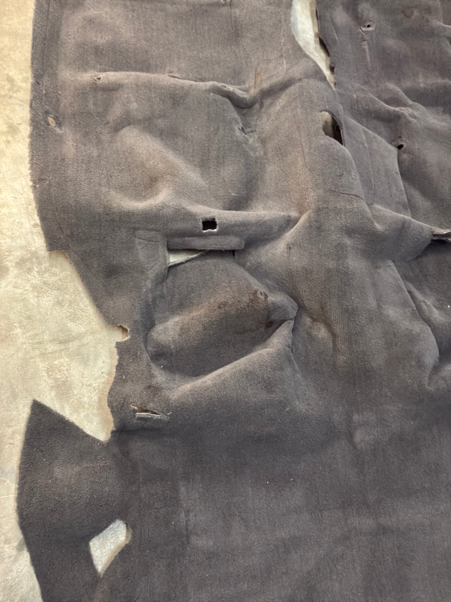 1999 Pontiac Firebird Trans Am Formula WS6 Complete Floor Carpet OEM