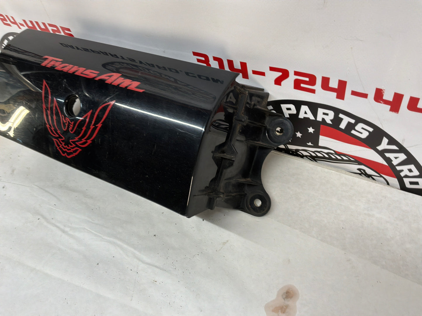 2002 Pontiac Trans Am WS6 Center Tail Light Filler Panel OEM