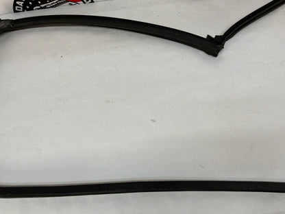 1999 Pontiac Firebird Trans Am Formula WS6 RH Passenger Door T-Top Weather Strip Rubber Seal OEM
