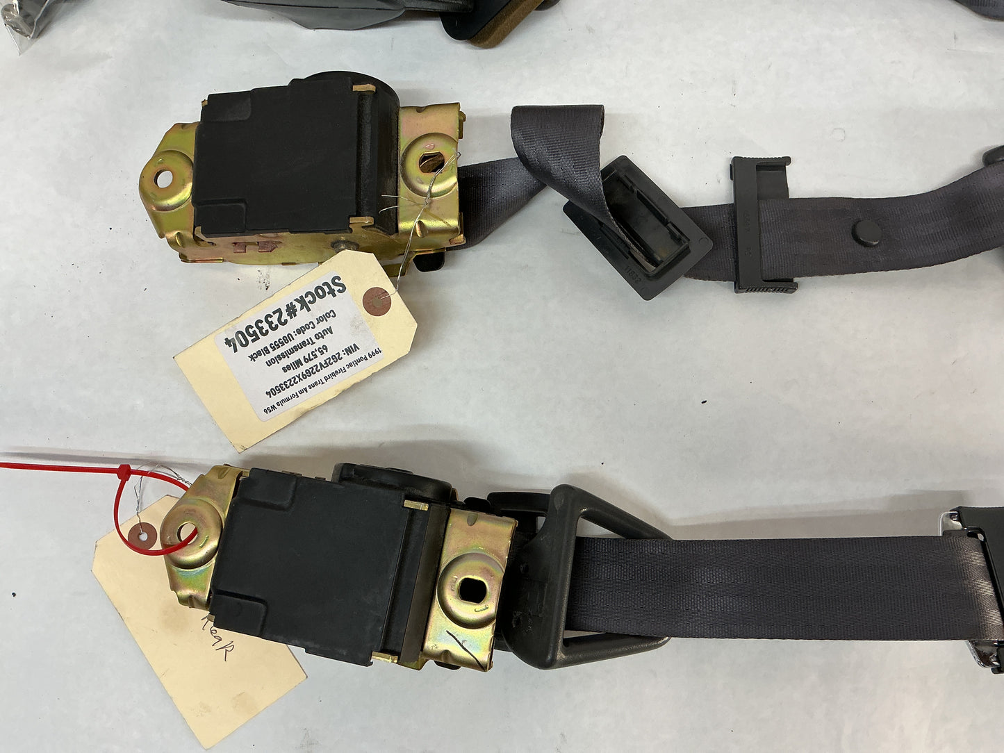 1999 Pontiac Firebird Trans Am Formula WS6 Front & Rear Seat Belt Seatbelt Buckle Retractors OEM