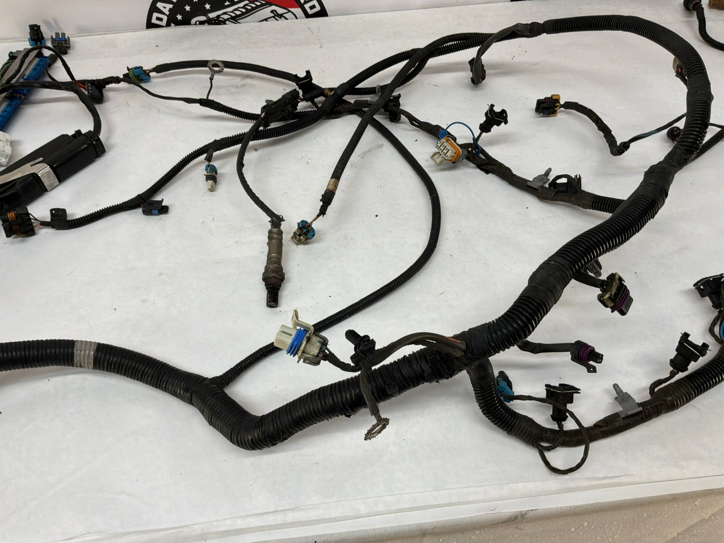 2004 Pontiac GTO Engine Motor Manual Transmission Wire Wiring Harness OEM