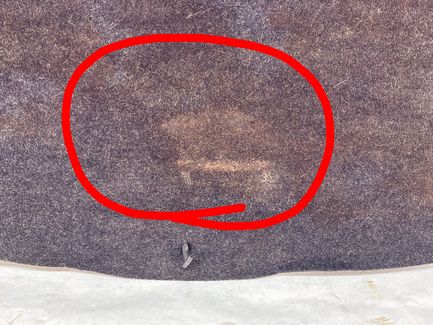 Trunk carpet - Day's Parts Yard