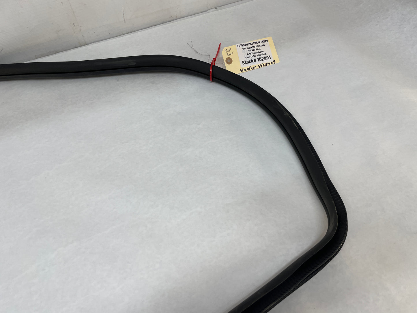 2010 Cadillac CTS-V Sedan RH Passenger Rear Door Weather Strip Rubber Seal OEM