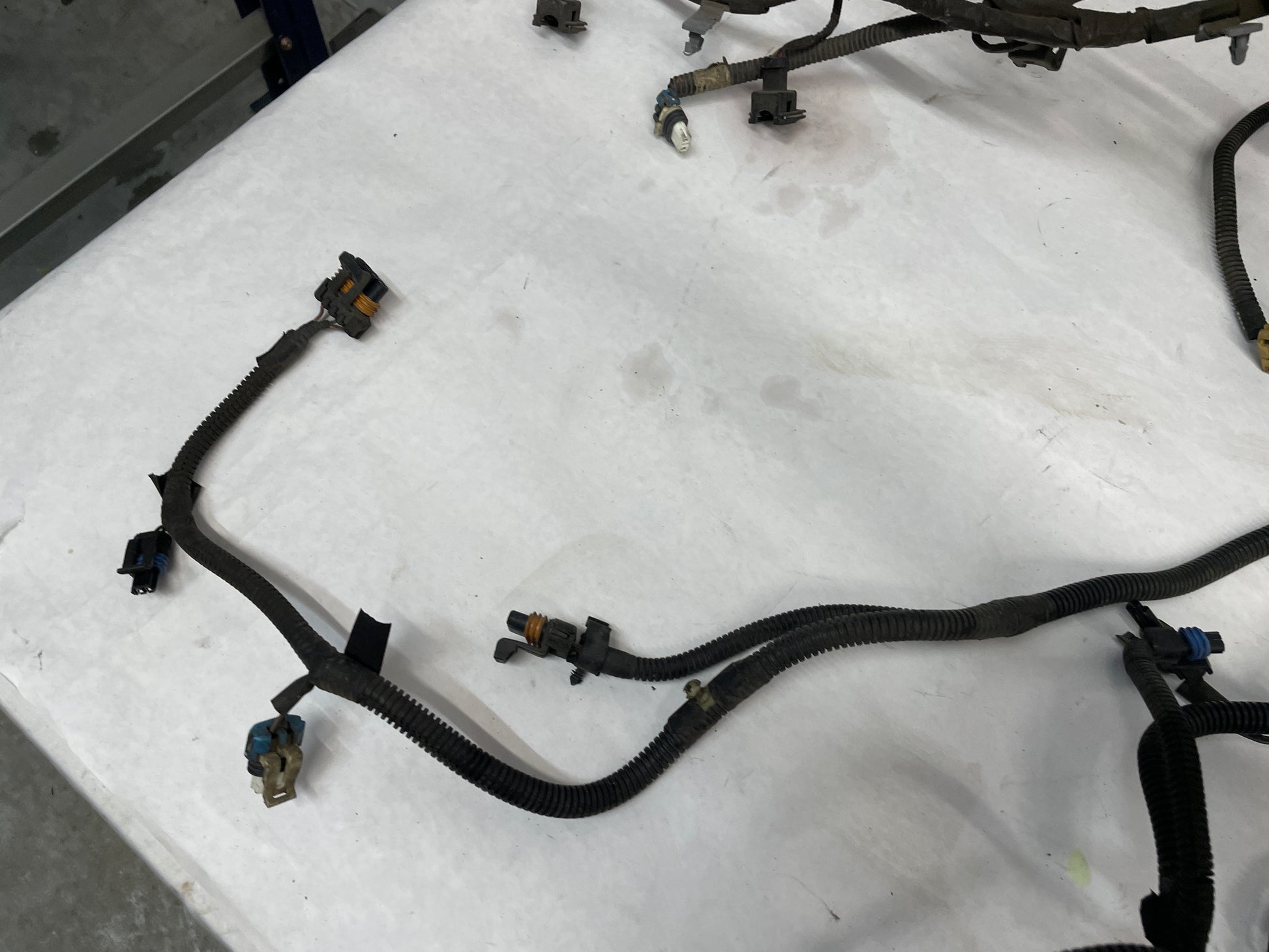 2004 Pontiac GTO Engine Wire Wiring Harness OEM - Day's Parts Yard