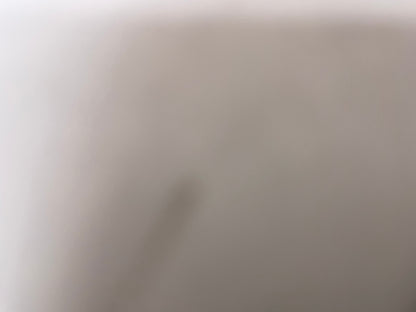 2011 Cadillac CTS-V RH Passenger Front Recaro Seat Back Panel OEM