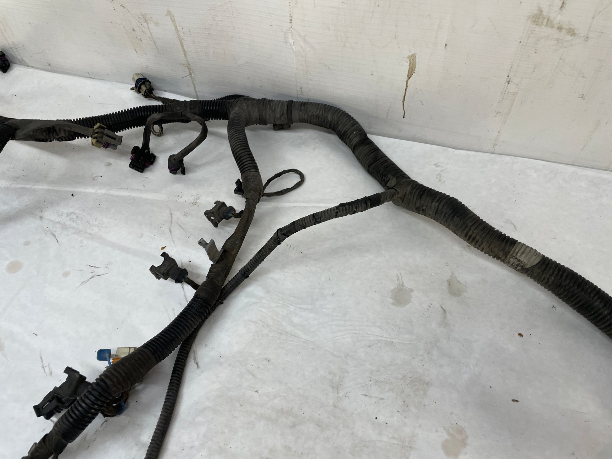 2004 Pontiac GTO Engine Motor Manual Transmission Wire Wiring Harness OEM - Day's Parts Yard