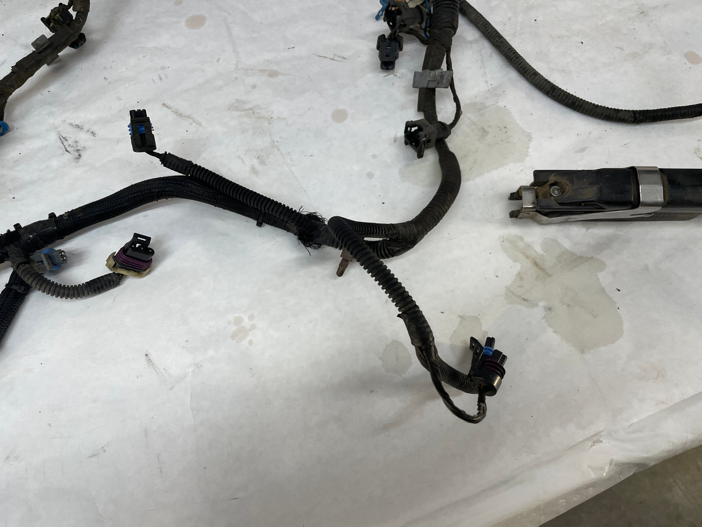 2004 Pontiac GTO Engine Motor Manual Transmission Wire Wiring Harness OEM - Day's Parts Yard
