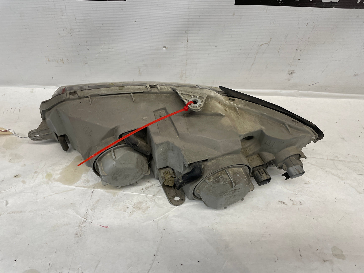 2005 Pontiac GTO RH Passenger Head Light Headlight Lamp OEM