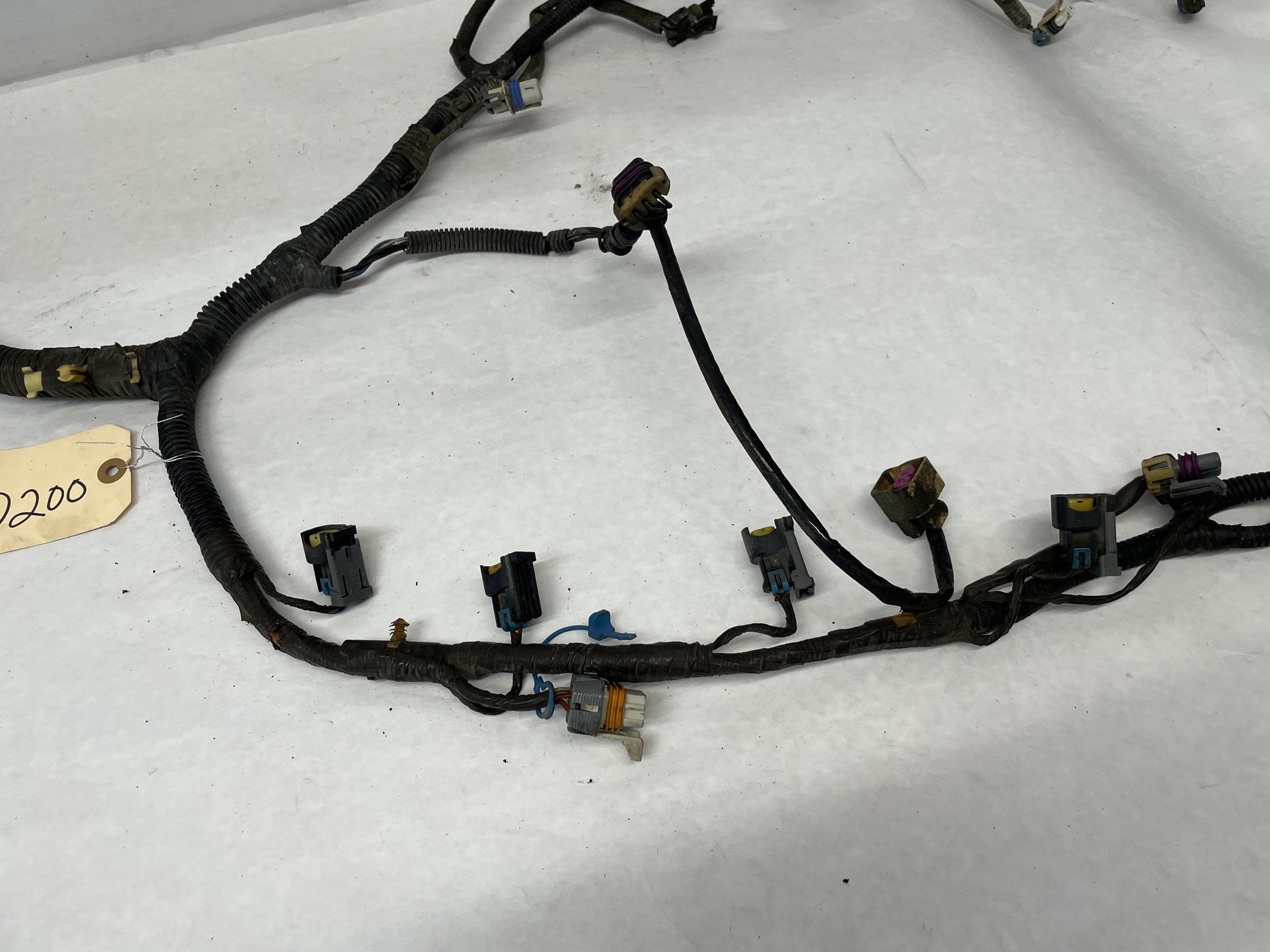 2005 Pontiac GTO Engine Motor Manual Transmission Wire Wiring Harness OEM - Day's Parts Yard