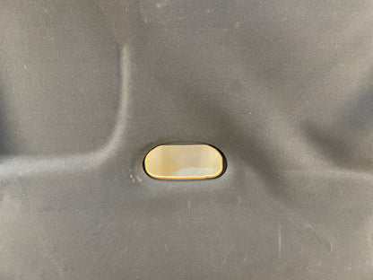 2005 Pontiac GTO Head Liner Headliner Ebony OEM