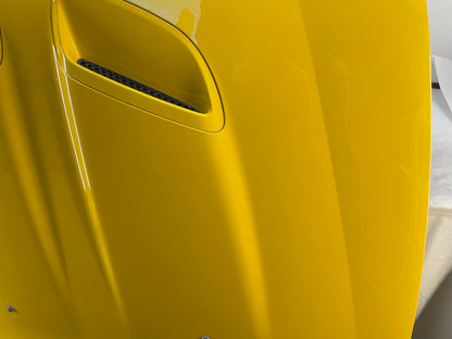2005 Pontiac GTO Hood Assembly Yellow OEM