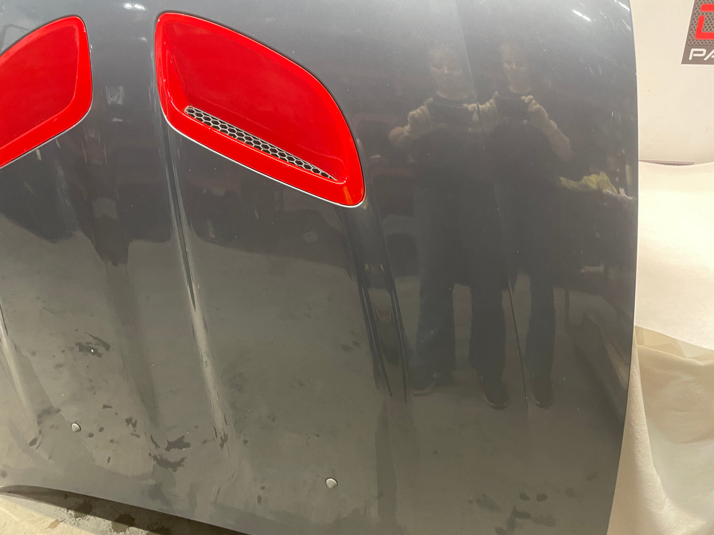 2005 Pontiac GTO Hood Assembly OEM