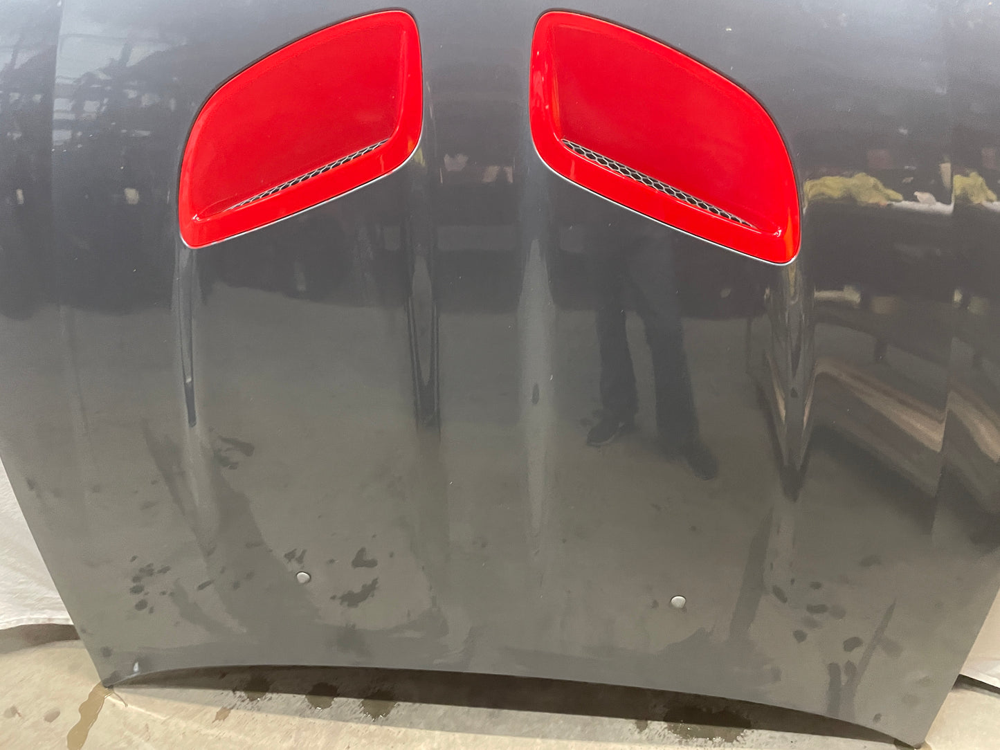 2005 Pontiac GTO Hood Assembly OEM
