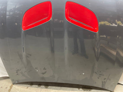 2005 Pontiac GTO Hood Assembly OEM