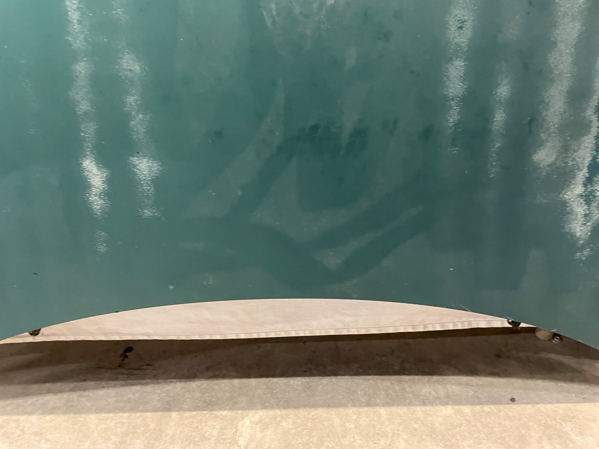 1998 Chevy Camaro Z28 Hood Assembly OEM LOCAL PICK UP - Day's Parts Yard
