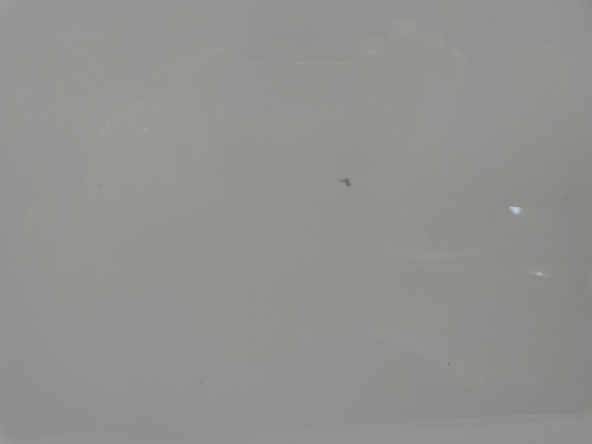 2005 Chevy C6 Corvette Convertible Trunk Deck Lid White OEM - Day's Parts Yard