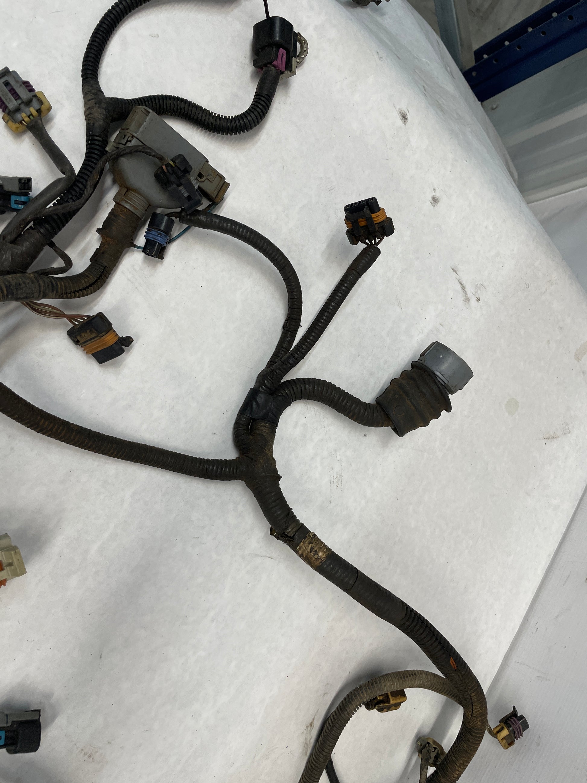 2006 Pontiac GTO Engine Motor Auto Transmission Wire Wiring Harness OEM - Day's Parts Yard