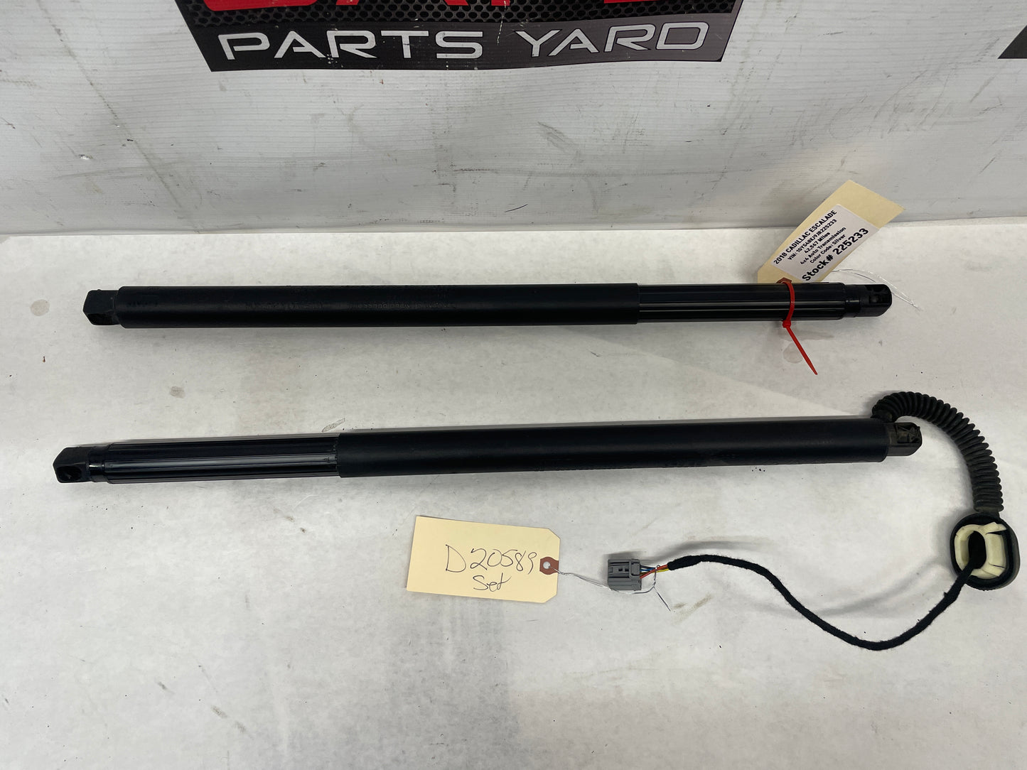 2018 Cadillac Escalade Trunk Hatch Power Assist Lift Struts Shocks OEM