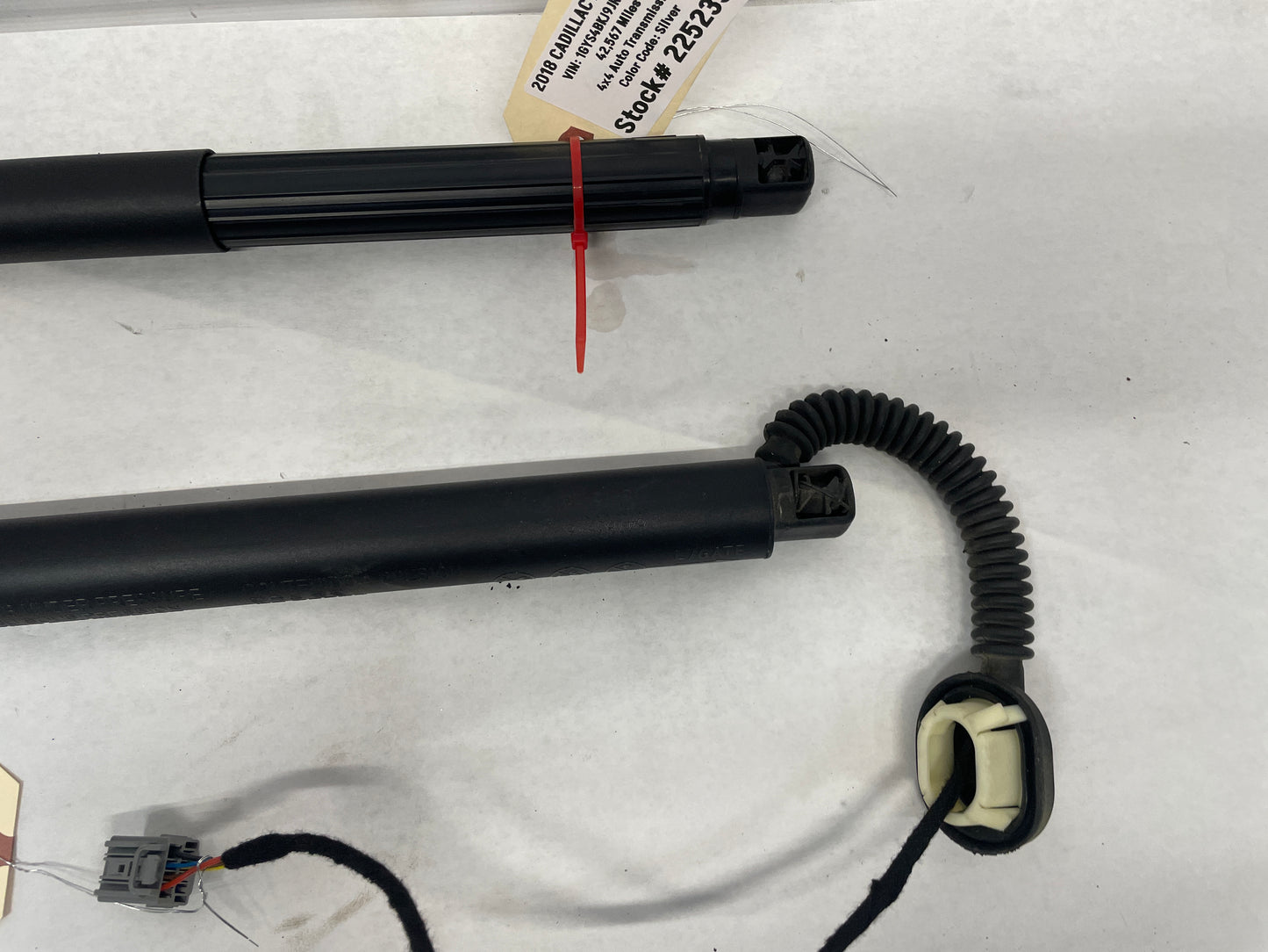 2018 Cadillac Escalade Trunk Hatch Power Assist Lift Struts Shocks OEM