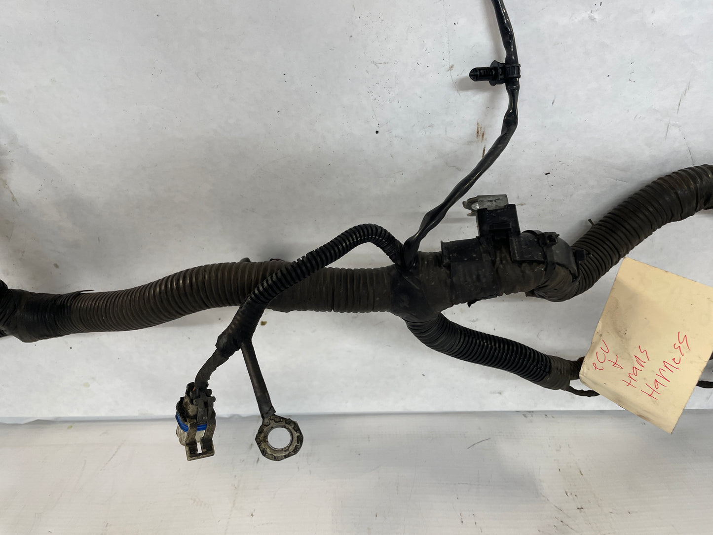 2005 Pontiac GTO Engine Motor Automatic Transmission Wire Wiring Harness OEM - Day's Parts Yard