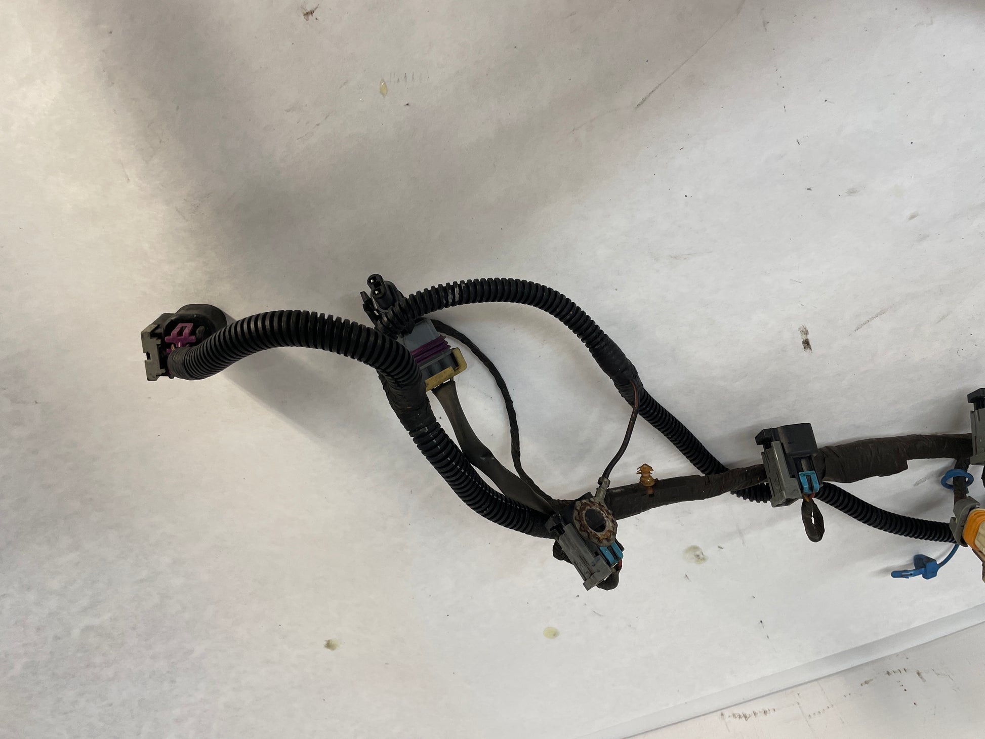 2005 Pontiac GTO Engine Motor Automatic Transmission Wire Wiring Harness OEM - Day's Parts Yard