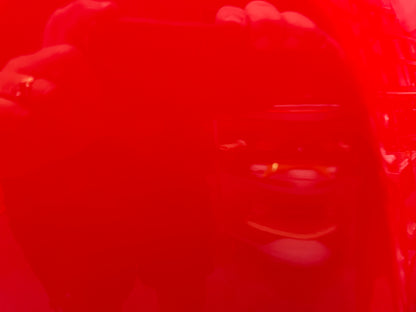 2009 Pontiac G8 GT Hood Assembly Red OEM - Day's Parts Yard