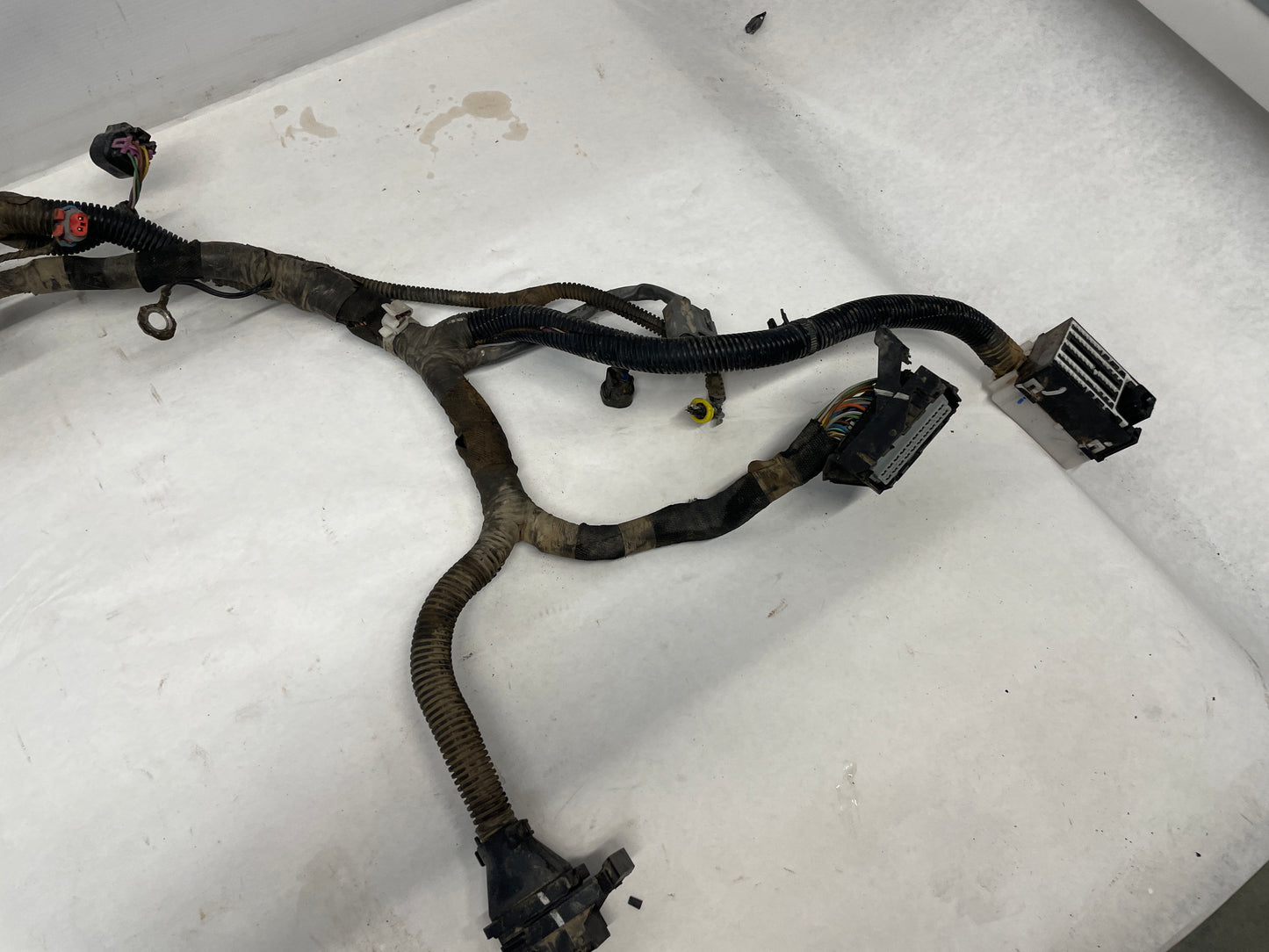 2009 Pontiac G8 GT Engine & Transmission Motor Wire Wiring Harness OEM