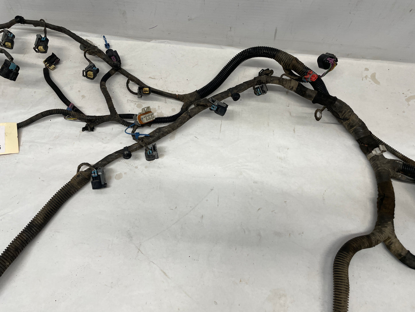 2009 Pontiac G8 GT Engine & Transmission Motor Wire Wiring Harness OEM