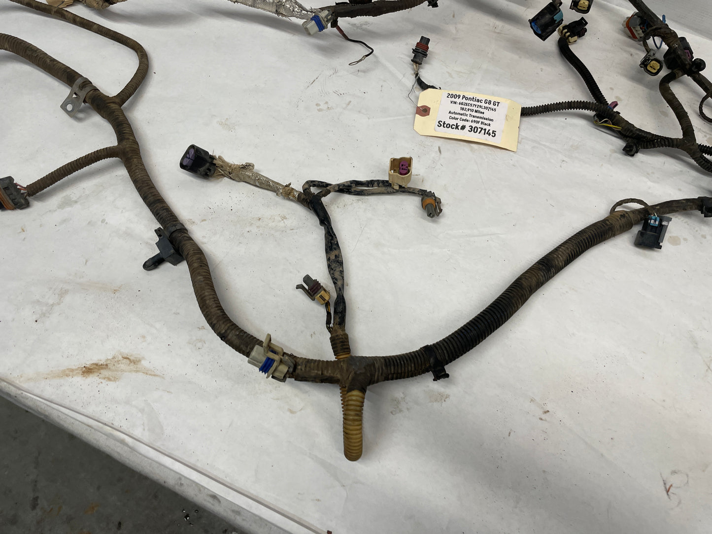 2009 Pontiac G8 GT Engine & Transmission Motor Wire Wiring Harness OEM