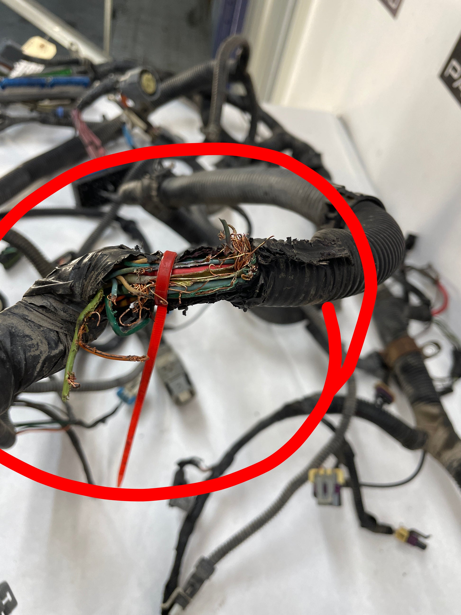 2004 Chevy C5 Corvette Engine Motor Automatic Transmission Wire Wiring Harness DAMAGE - Day's Parts Yard