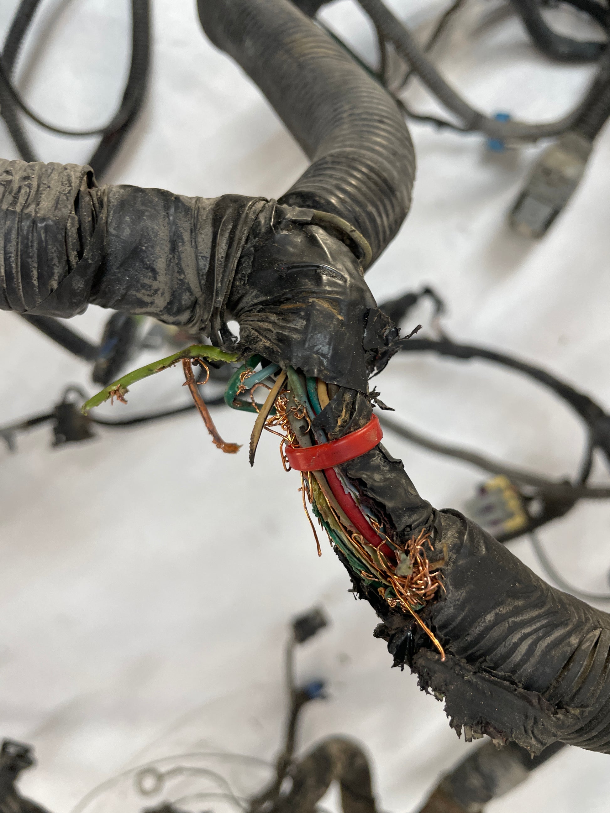 2004 Chevy C5 Corvette Engine Motor Automatic Transmission Wire Wiring Harness DAMAGE - Day's Parts Yard
