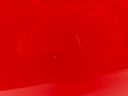 2008 Chevy C6 Corvette RH Passenger Exterior Door Red OEM