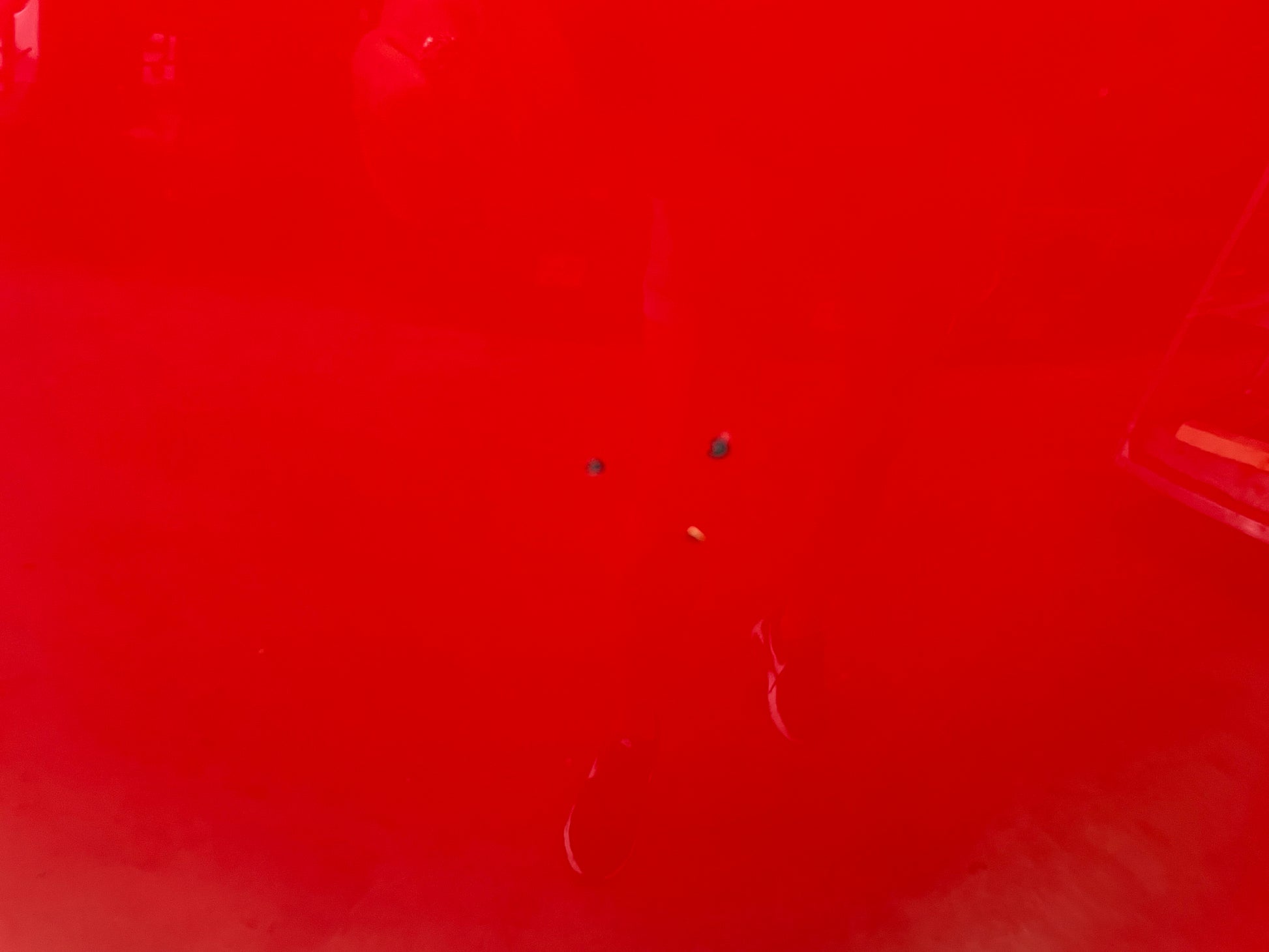 1999 Chevy C5 Corvette Hood Red OEM - Day's Parts Yard