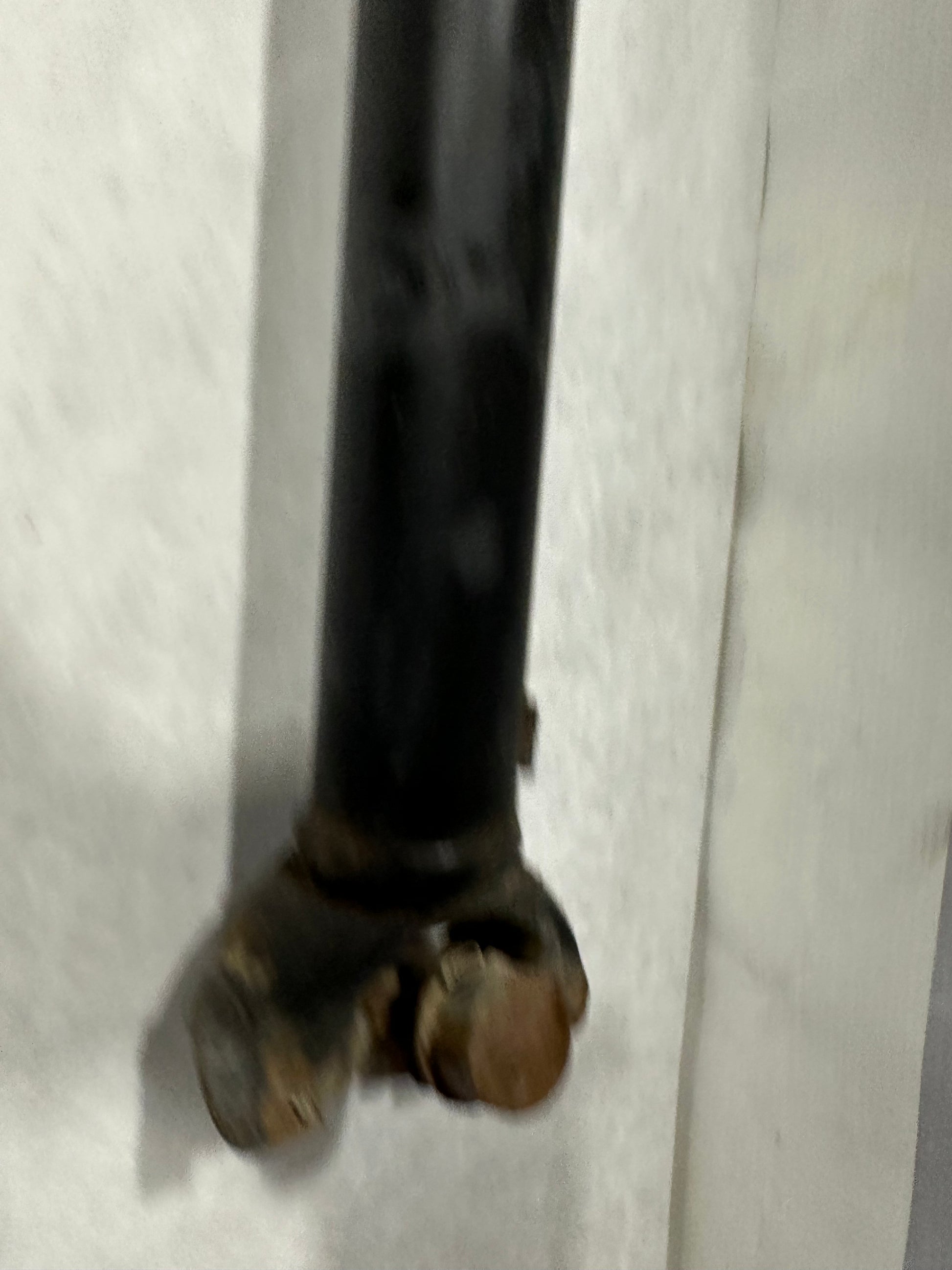 2018 GMC Sierra 1500 SLT Front Drive Shaft Drive Shaft Prop Shaft  OEM - Day's Parts Yard