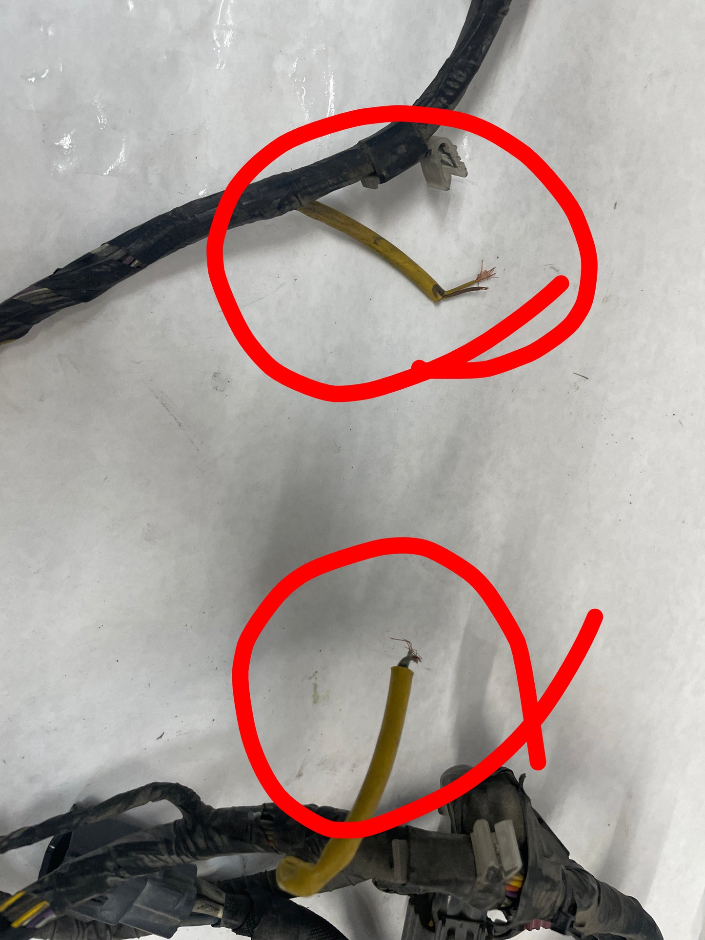 2013 Chevy Caprice PPV Radiator Core Support Head Light Lamp Wiring Wire Harness OEM