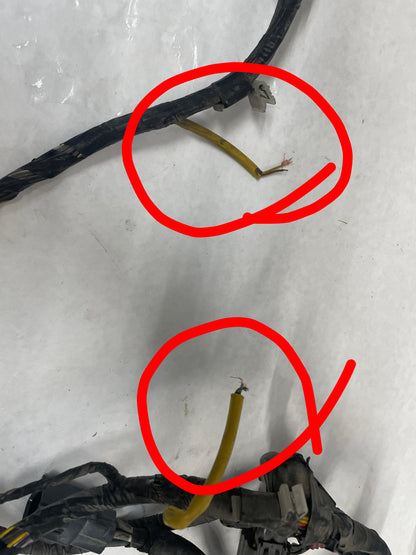 2013 Chevy Caprice PPV Radiator Core Support Head Light Lamp Wiring Wire Harness OEM