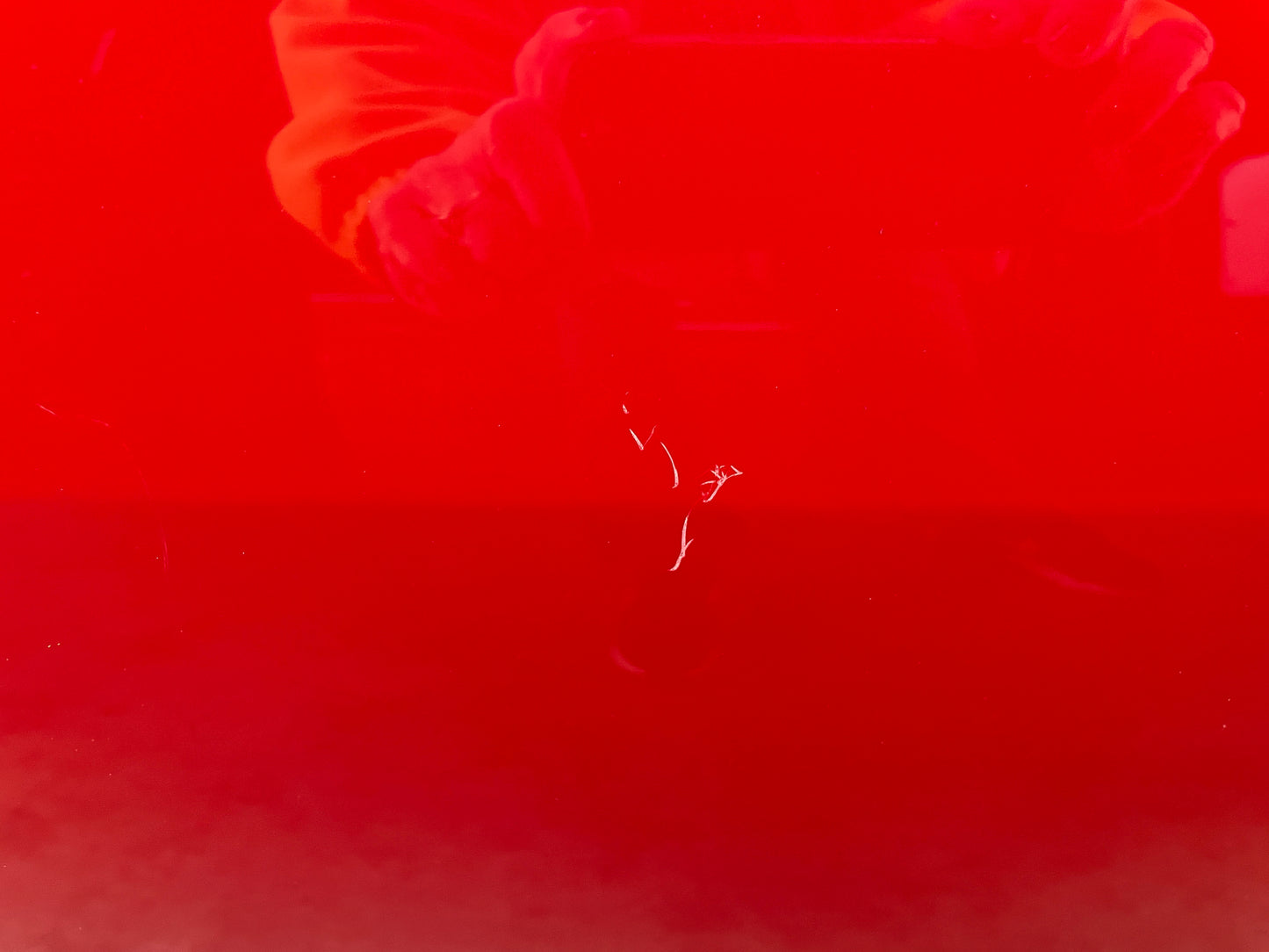 2009 Pontiac G8 GT RH Passenger Front Exterior Door Red OEM